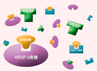 抑制血管新生