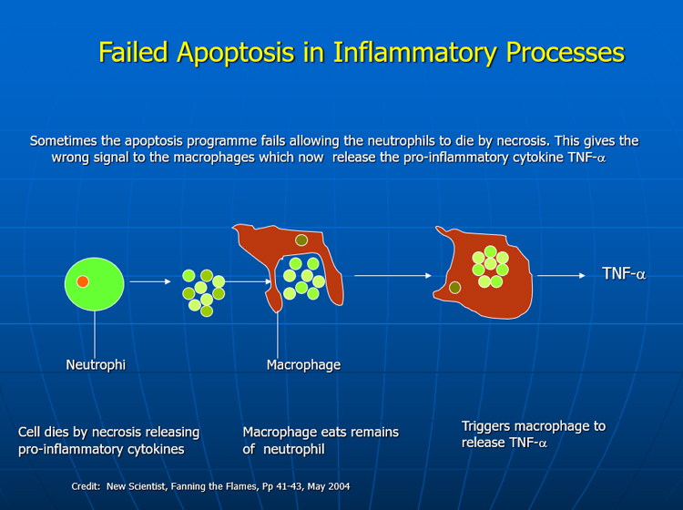 Abnormal apoptosis