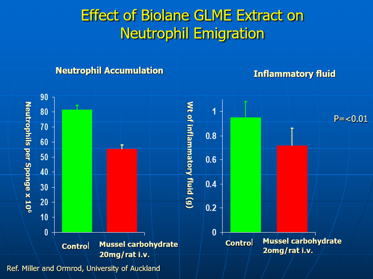 Effect of GLME on neutrophil migration