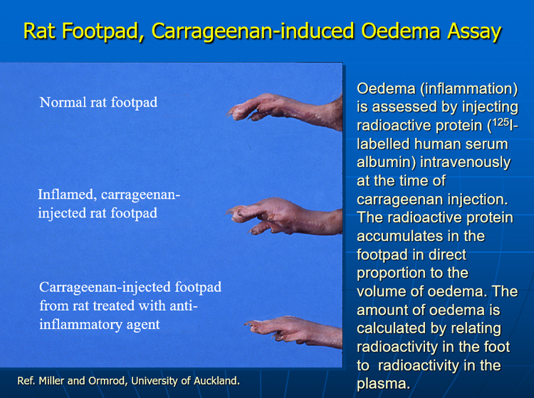 Effect of GLME on edema