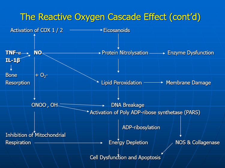The Reactive Oxygen Cascade